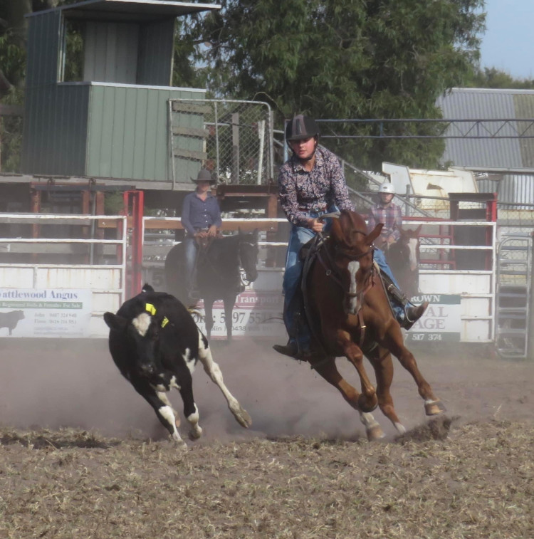 Lang Lang Campdrafting