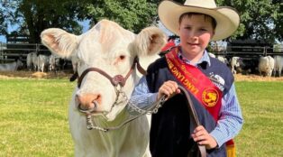 Lang Lang Pastoral Agricultural and Horticultural Show